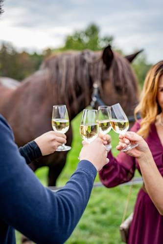 Osada Havranů - Galerie 12