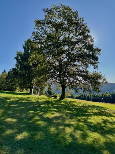 Penzion Hájenka na Rezku - Galerie 8