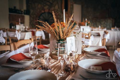 STATEK VŠECHOV, místo pro vaše nezapomenutelné zážitky: Bavte se ve velkém!!!